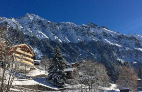 Holiday flat #1, Chalet Aberot, Wengen, Switzerland